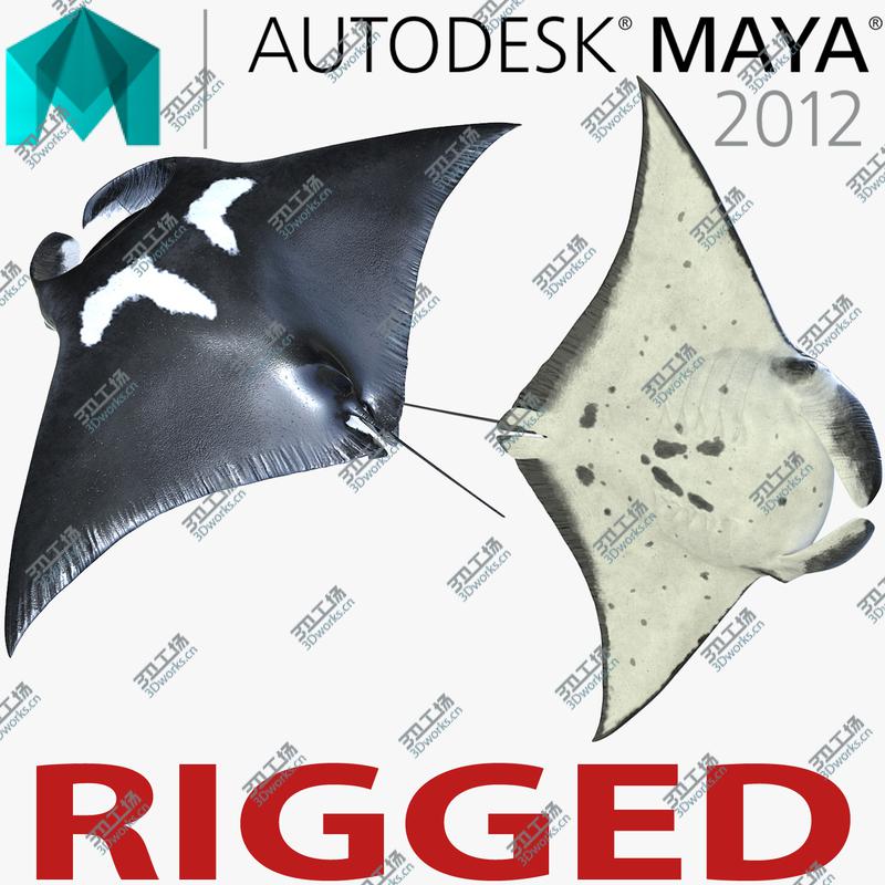 images/goods_img/20210319/Manta Ray Rigged for Maya/1.jpg